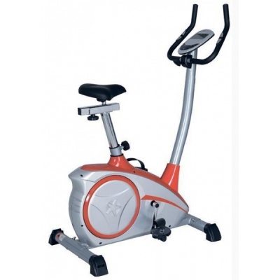   Fitex Pro Bingo