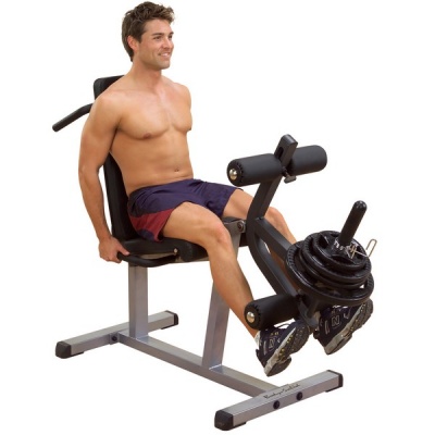       Body Solid GLCE365, 26