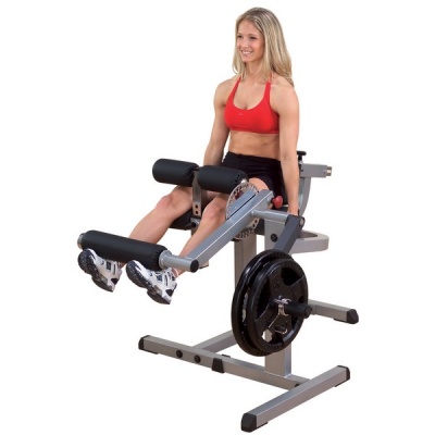 Тренажер для сгибания и разгибания ног Body Solid GCEC340