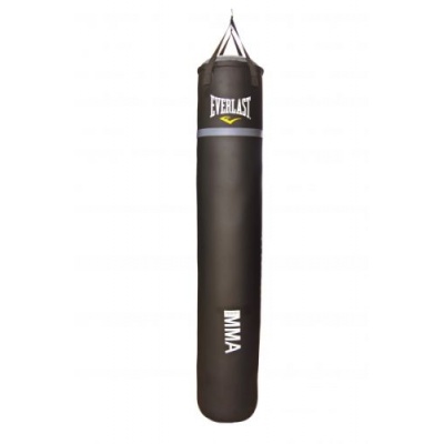   Everlast Rev 180 