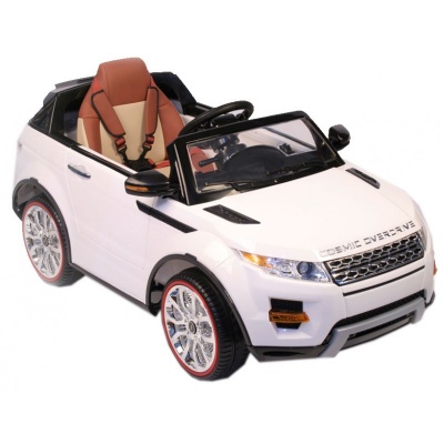  Rivertoys Rang Rover 111 VIP 
