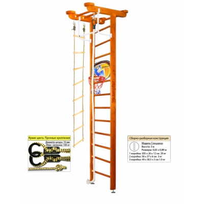   Kampfer Little Sport Ceiling Basketball Shield 3 