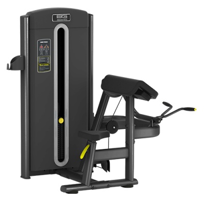  - Bronze Gym M05-006