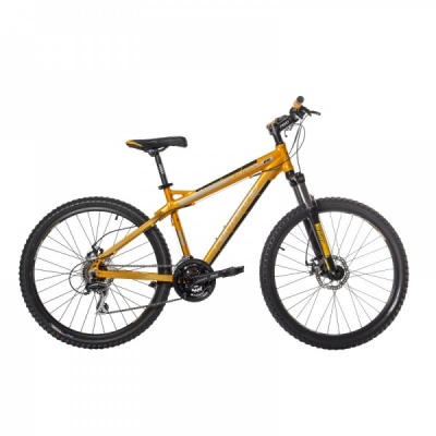  FORWARD QUADRO 818 "17