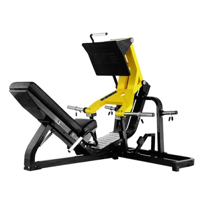    Bronze Gym LA-09