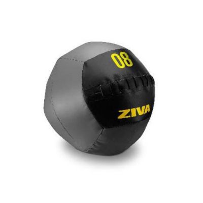  5   2-10  ZIVA Wall Ball ZVO-FTWB-18-01
