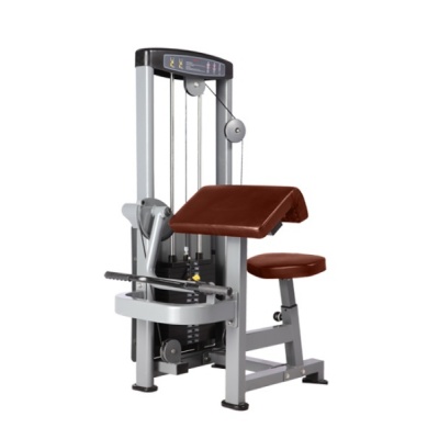 - BRONZE GYM D-006