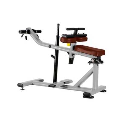     BRONZE GYM J-029