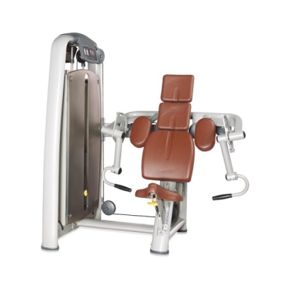 - BRONZE GYM A9-006