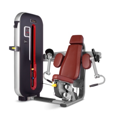 - BRONZE GYM MT-006