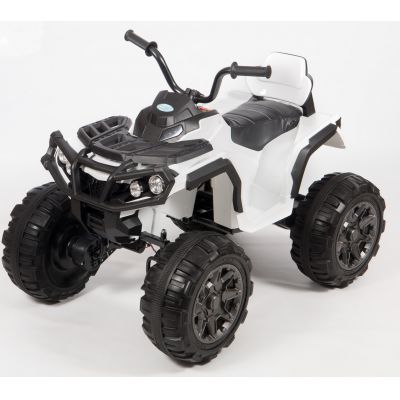  Barty Grizzly 001 