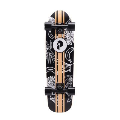 Круизер Playshion Plank Tropico