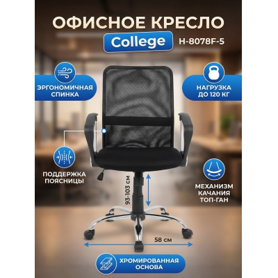 ������������ ������ College H-8078F-5