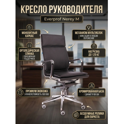 ������ ������������ Everprof Nerey M �������