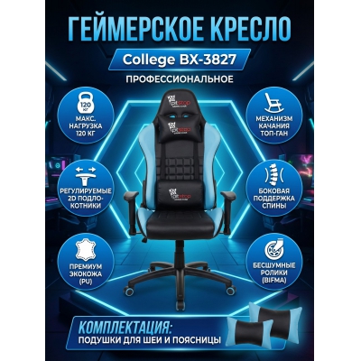 ���������� ������ College BX-3827