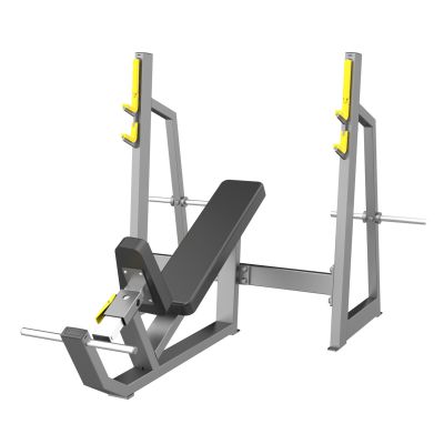 -     DHZ Olympic Bench Incline