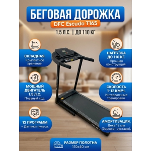 ������� ������� DFC Escudo T165