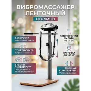 ������������� ��������� DFC VM15H