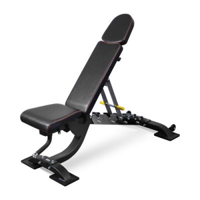    Bronze Gym BR-1008