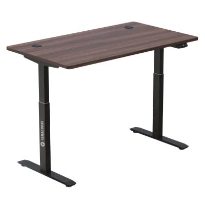 - Yamaguchi Standing Desk 