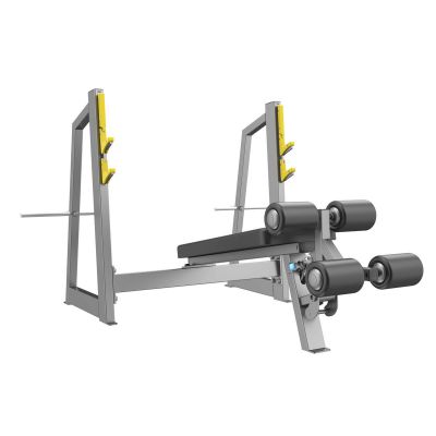 -      DHZ Olympic Decline Bench A-3041