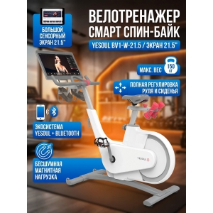 ��������� ����-���� Yesoul BV1-W-21.5 �����