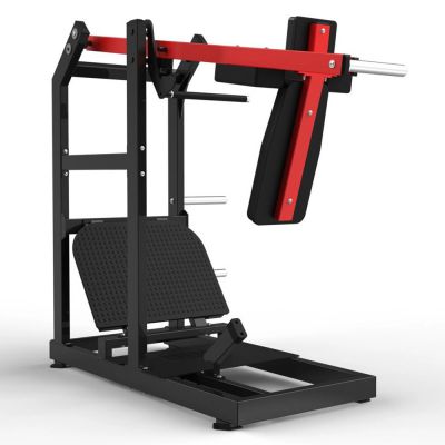      Realleader HSPro-2006