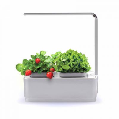 Компактный умный сад с подсветкой iGarden LED (IGL2021)