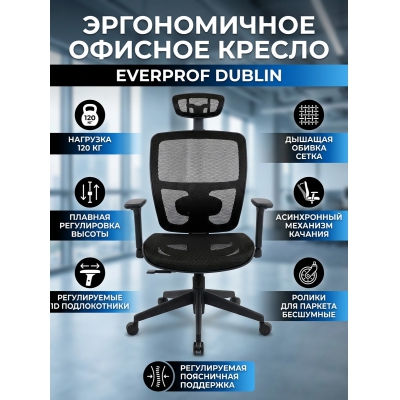 ������������ ������� ������ Everprof Dublin
