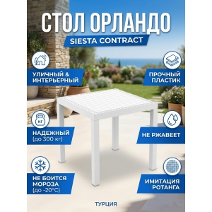 ���� ����������� Siesta Contract Orlando 80