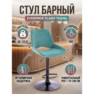 ���� ������ Everprof Flash �����