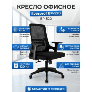 ������ ������� Everprof EP-520 �����