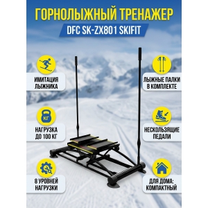 ����������� �������� DFC SK-ZX801