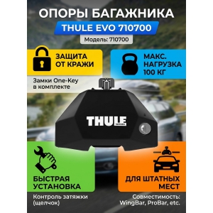 ����� Thule Evo 710700 �� �������� �������