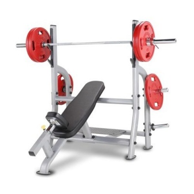 Скамья со стойками для жима AeroFit NOIB