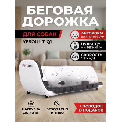 ������� ������� ��� ����� DFC Yesoul T-Q1