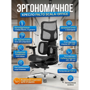 ������������ ������ Falto SCALA-OFFICE � ��������� (������)