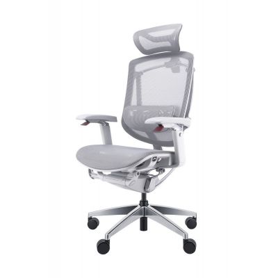   GTCHAIR GT Chair Marrit Pro X, 
