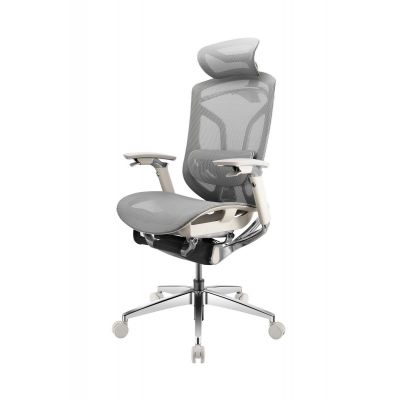   GTCHAIR GT Chair Dvary Pro X, 