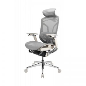   GTCHAIR GT Chair Dvary Pro X, 