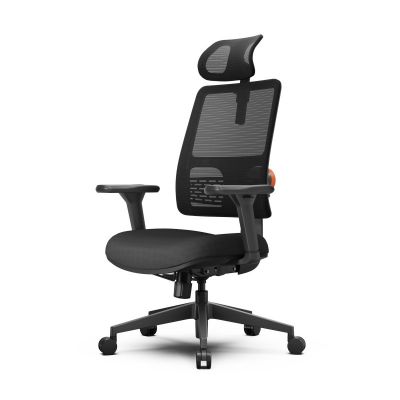   FoxGear NETZ  E, 