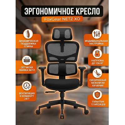 ������������ ������������ ������ FoxGear NETZ ������ XO - office edition