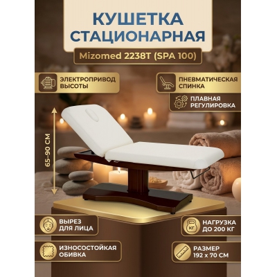 ������� ������������ Mizomed 2238T