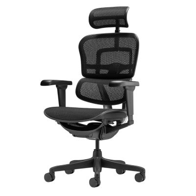 ������������ ������ Falto Ergohuman 2 Ultra �����, ������