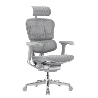 ������������ ������ Falto Ergohuman 2 Elite �����, �����