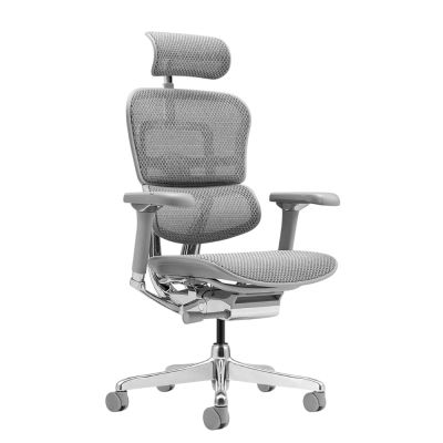 ������������ ������ ������ ���� Falto Ergohuman 2 Luxury ����� , �����