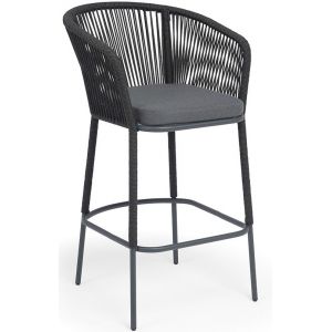 ���� ������ �������� 4SIS �������