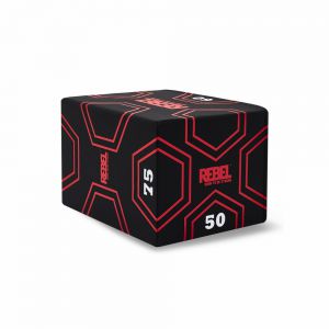 ��������������� ���� REBEL 3 � 1