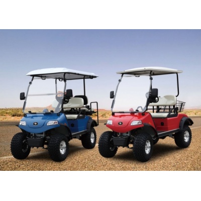  Smart Elcar Express Lifted 2