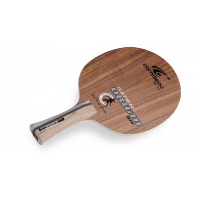   OFF+ Carbon Cornilleau Gatien Pure 